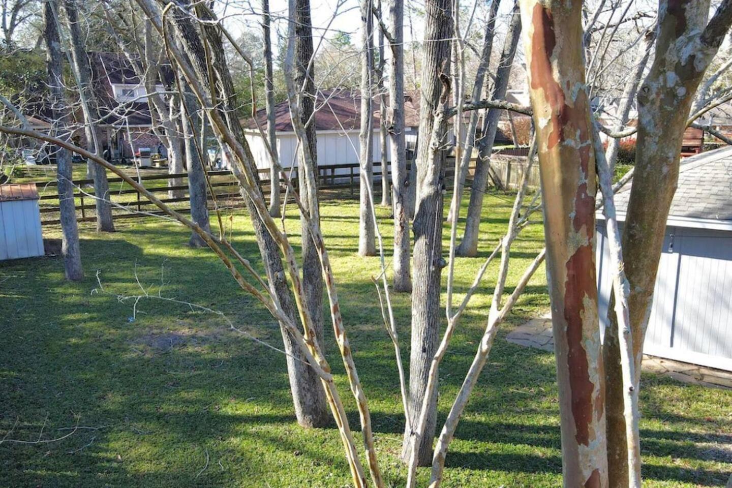 Friendswood Sunmeadow Manor Retreatヴィラ エクステリア 写真